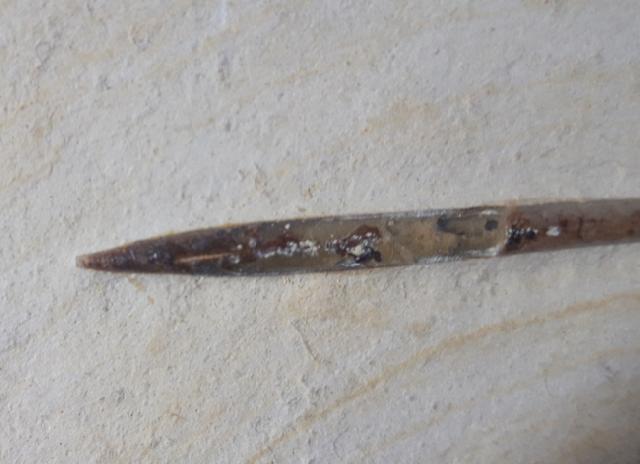 Hibolithes semisulcatus (M�NSTER 1830) - Bild &copy; FossNet FossilienStore